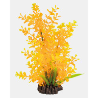 ART PLANT LUDWIGIA ORANGE